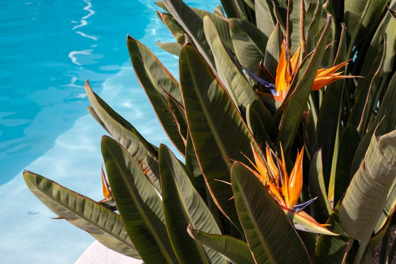 Nazaret Mansion Hotel Costa Teguise Ngoại thất bức ảnh